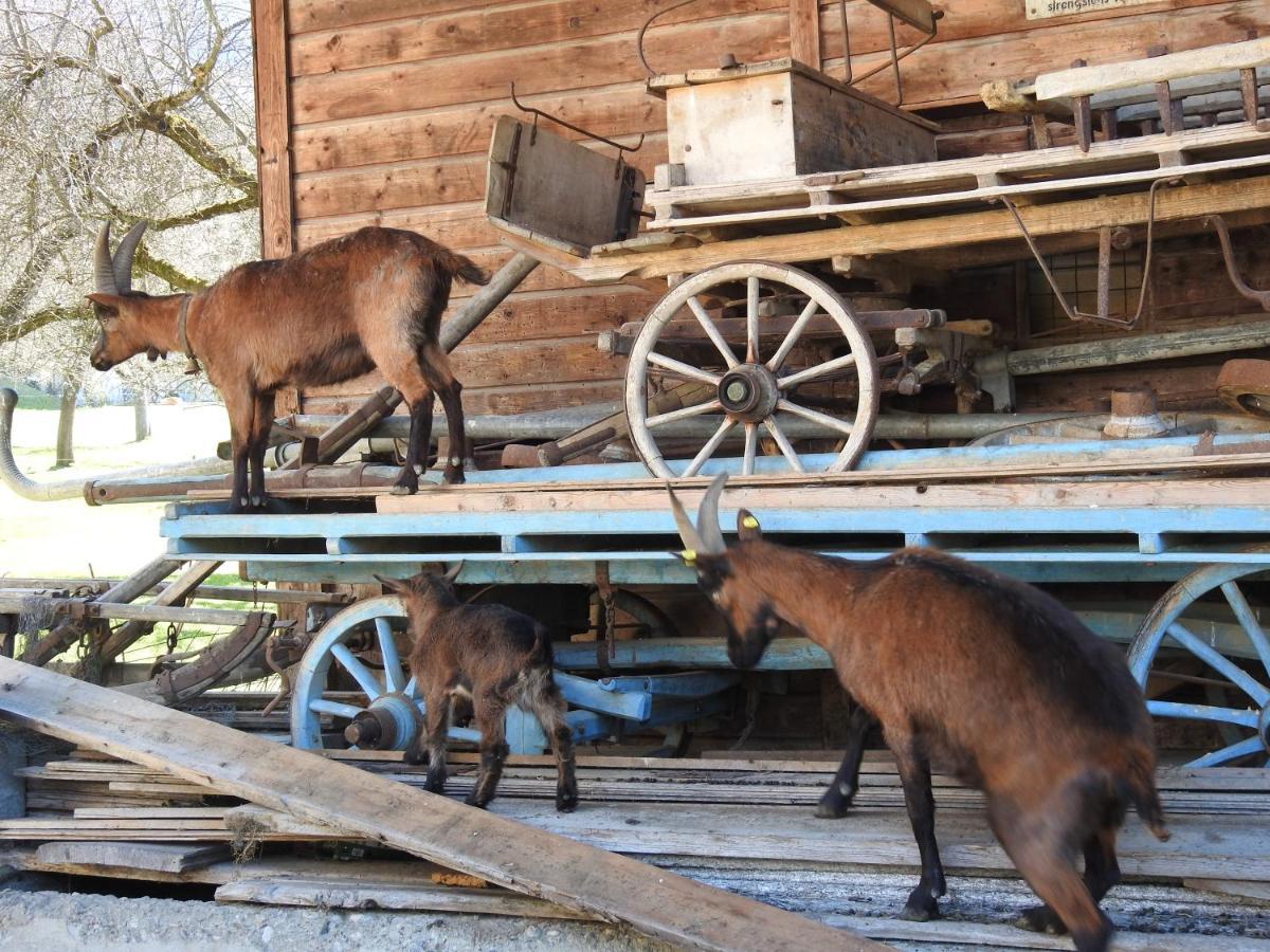 Ferienhaus Hoellwarth Stumm Exteriér fotografie